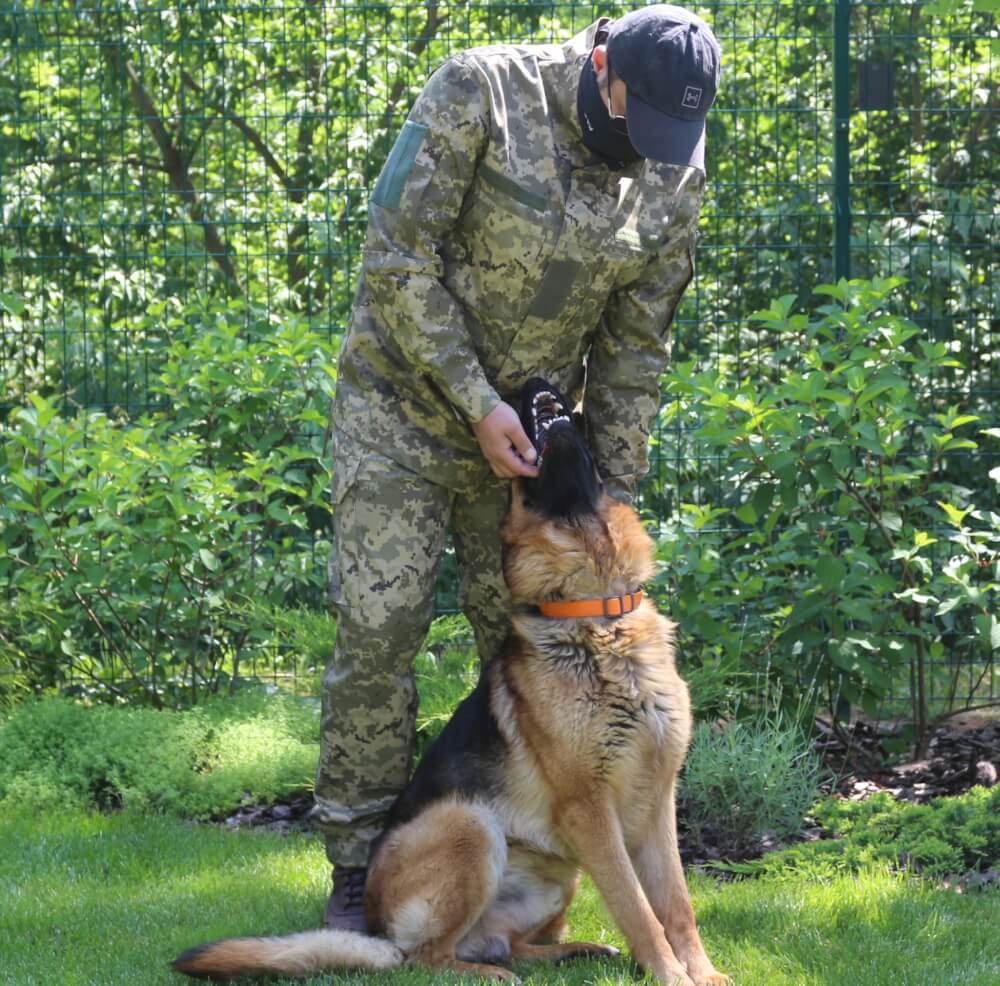 Комплект летний ВСУ Саржа Пиксель ММ14 / Рипстом Мультикам / Рипстоп Пиксель ММ14